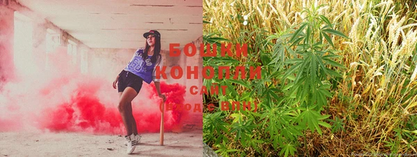 PSILOCYBIN Алзамай