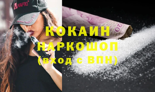 PSILOCYBIN Алзамай