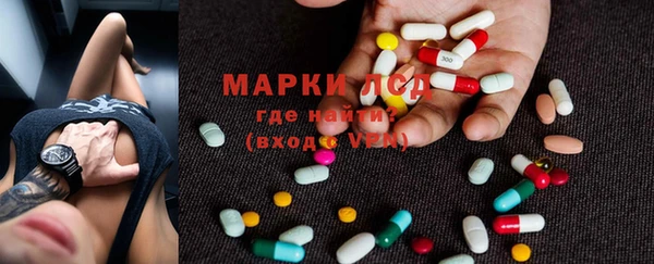 PSILOCYBIN Алзамай
