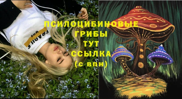 круглые Абаза