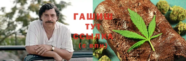 PSILOCYBIN Алзамай