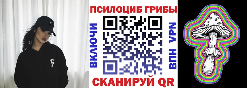 Псилоцибиновые грибы мухоморы  где купить наркоту  Тамбов 